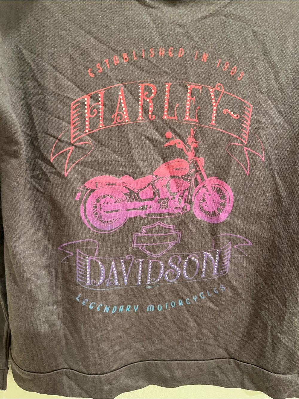 Harley-Davidson Long Sleeve Graphic Top – Size Small – NWT - Picture 6 of 7